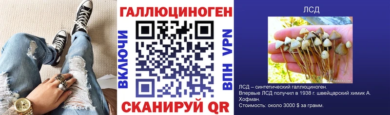 Псилоцибиновые грибы Psilocybe Усть-Джегута