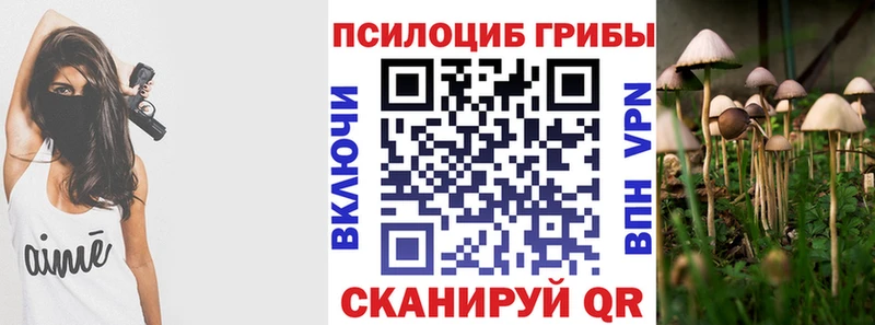 Галлюциногенные грибы Psilocybe  Усть-Джегута 